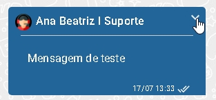 Botão para apagar mensagem