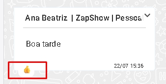 Mensagem com reação aplicada